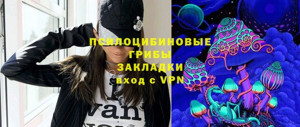 2c-b Белокуриха