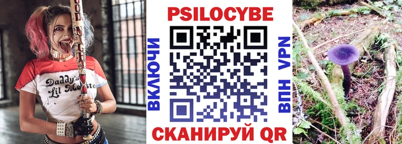Купить закладки  Сланцы  Псилоцибиновые грибы прущие грибы 